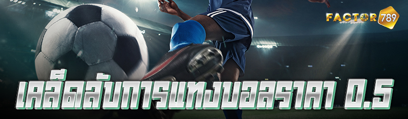 เคล็ดลับการแทงบอลราคา 0.5