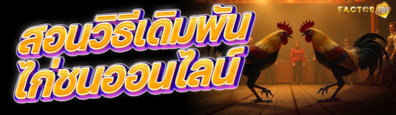 สอนวิธีเดิมพันไก่ชนออนไลน์